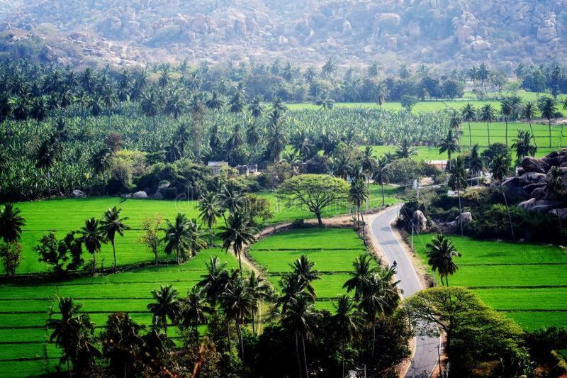 Lee Homestay Hampi Luaran gambar